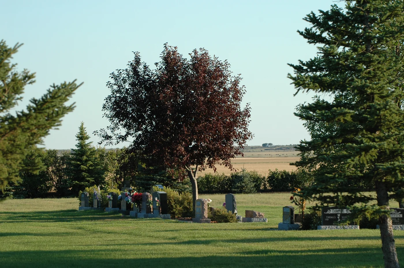 Memorials and flowers beneath trees overlooking the prairie at Sunset Cemetery.